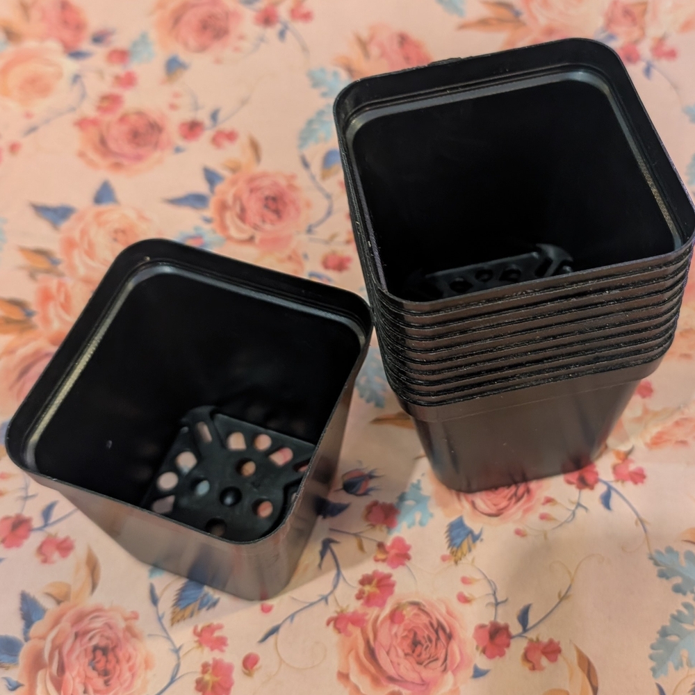 Black plastic planters, 2.5 Inch - Picture 2 of 3